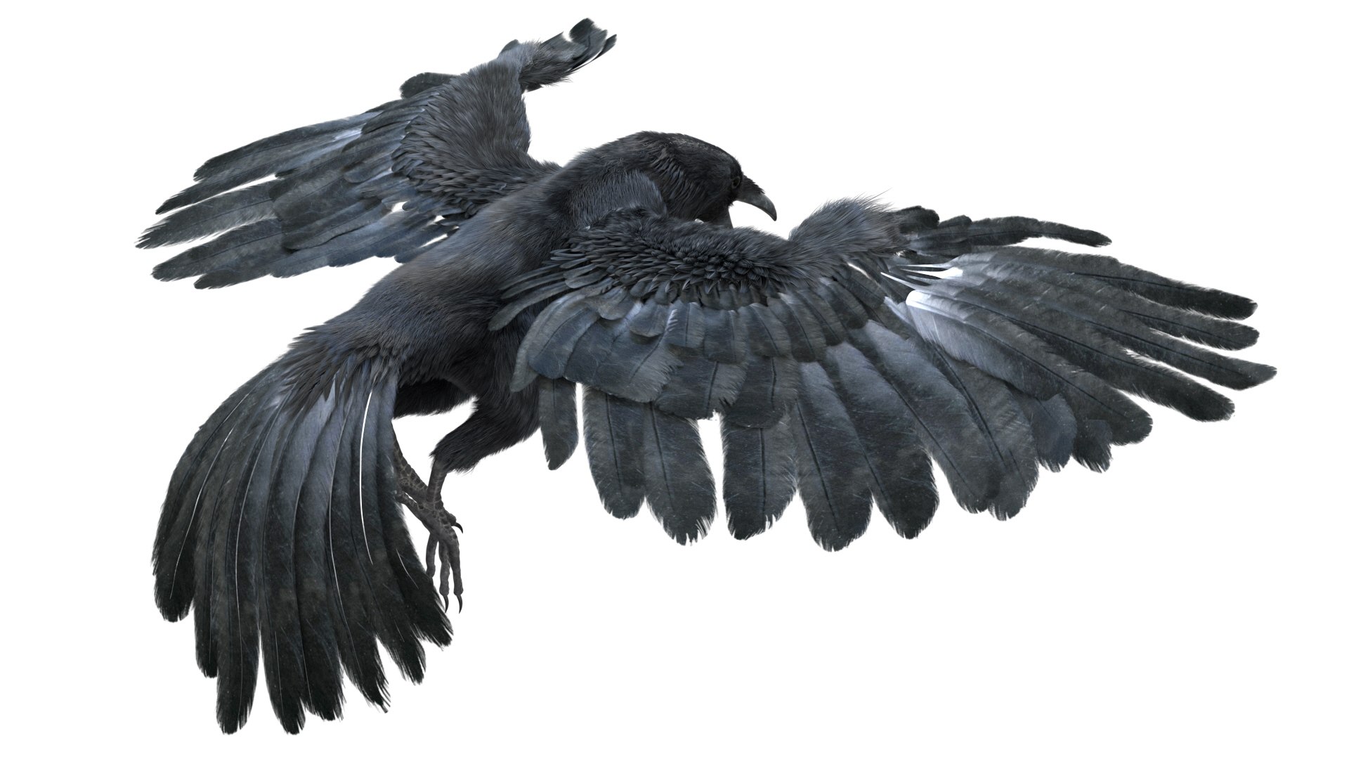 realistic crow rigged model https://p.turbosquid.com/ts-thumb/4K/p11T8m/CLYSLN9h/10/jpg/1580356460/1920x1080/fit_q87/811715ba37d6e85cb8fefa0dfcb1354a06ea3473/10.jpg