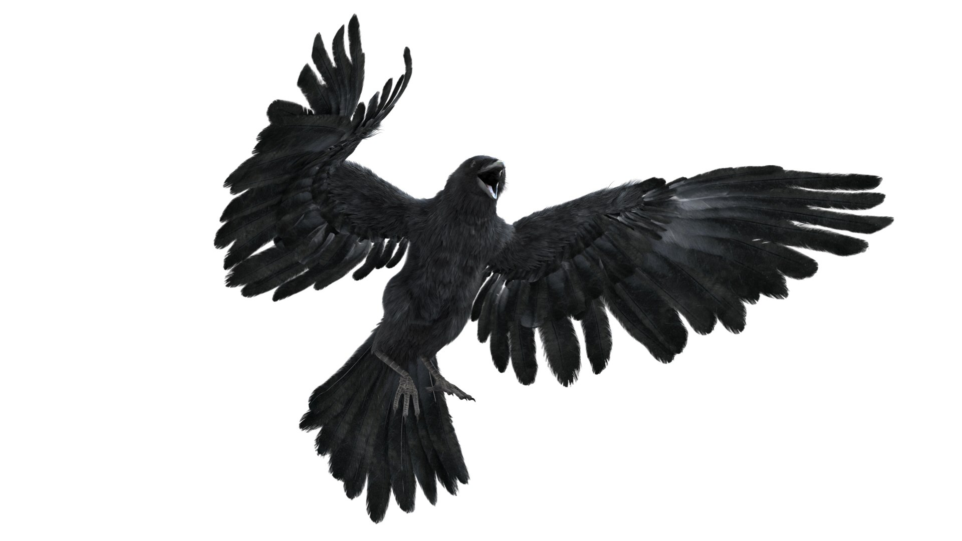 realistic crow rigged model https://p.turbosquid.com/ts-thumb/4K/p11T8m/IwyAABgL/16/jpg/1580356461/1920x1080/fit_q87/9ab42e4917ed03023e1009642ea868890a254744/16.jpg
