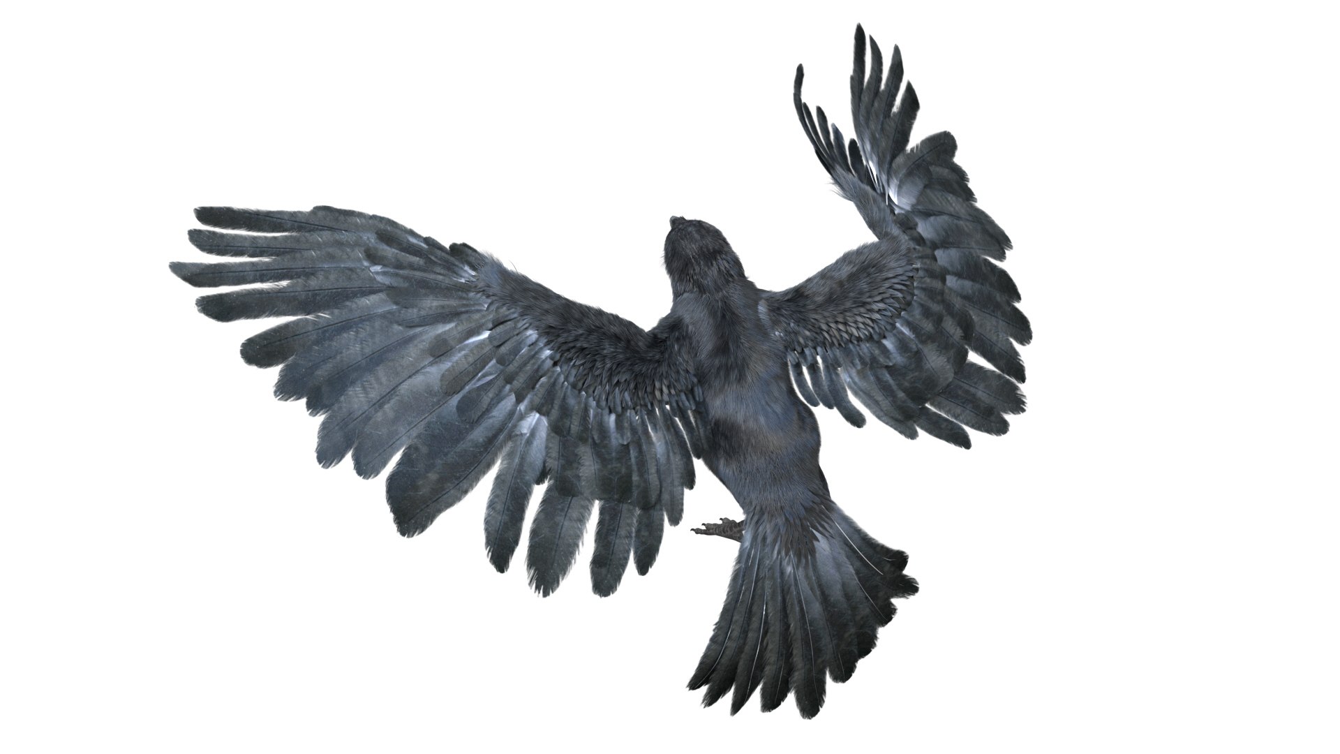 realistic crow rigged model https://p.turbosquid.com/ts-thumb/4K/p11T8m/OX5h9xVv/15/jpg/1580356461/1920x1080/fit_q87/d014b14acba9d55a1a54ba66acf98d865e29020d/15.jpg