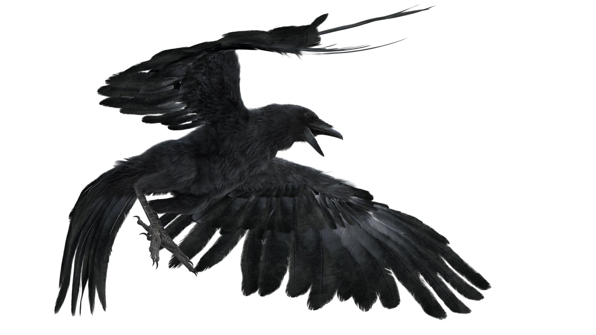 realistic crow rigged model https://p.turbosquid.com/ts-thumb/4K/p11T8m/p7AuJ3cZ/17/jpg/1580356461/1920x1080/fit_q87/100beb3d2f9684f4bc7a5addccc72b75974c9380/17.jpg