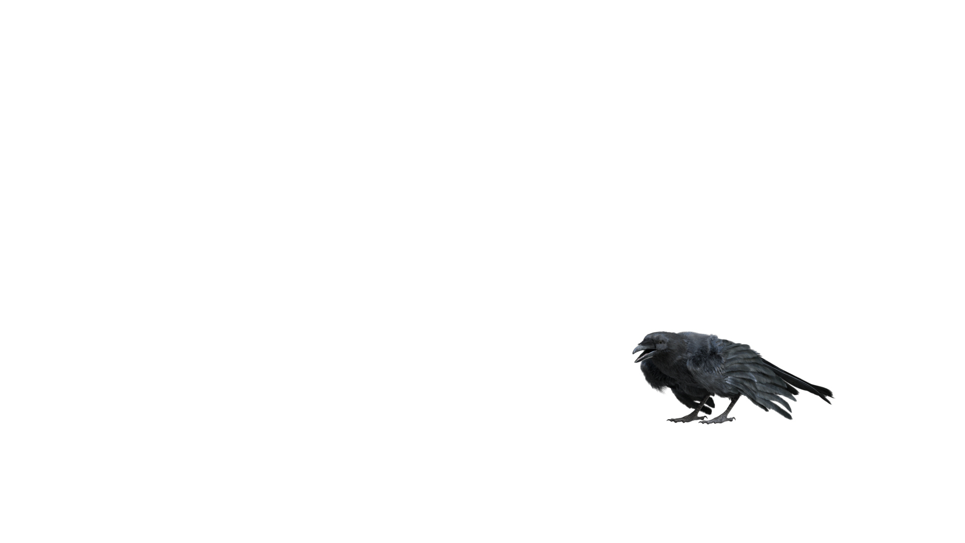 realistic crow rigged model https://p.turbosquid.com/ts-thumb/4K/p11T8m/tFBsgkUq/fly/jpg/1595298549/1920x1080/turn_fit_q99/4697db57ce51dfc4b9cb9238036a2410ec519100/fly-1.jpg