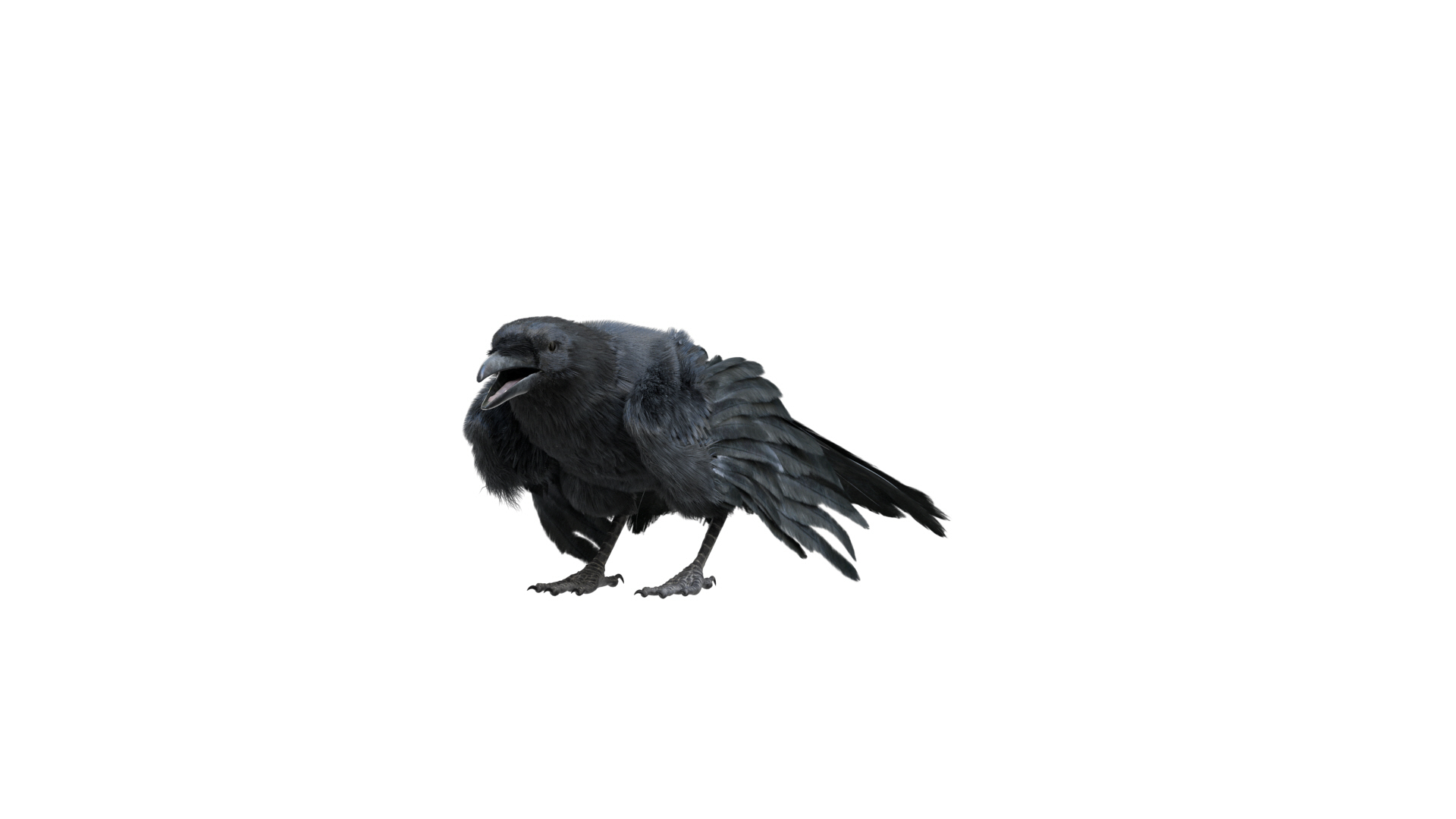 realistic crow rigged model https://p.turbosquid.com/ts-thumb/4K/p11T8m/vxHWNSEv/damage/jpg/1595298329/1920x1080/turn_fit_q99/18ac88dc24942f932a188c0e75dd7ae6f5dd988a/damage-1.jpg