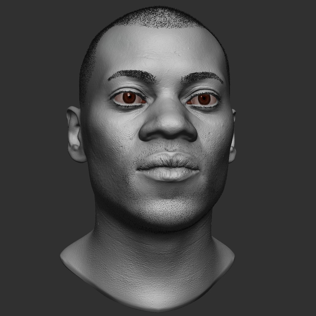 black man head realistic 3D model https://p.turbosquid.com/ts-thumb/4K/tkYZNa/2aFn74qz/11/jpg/1508685821/1920x1080/fit_q87/7c500c1b0ab38450d91c1f927e640dbf17e3e476/11.jpg