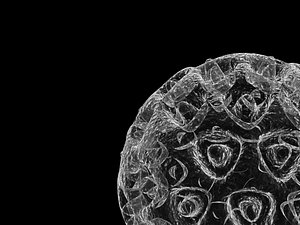 pollen spore 3d max