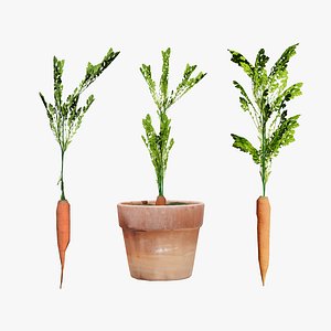 Garden Carrot Model 3D