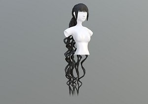 Braids Wavy Hair 3D