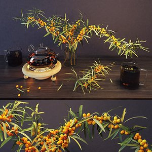 sea buckthorn