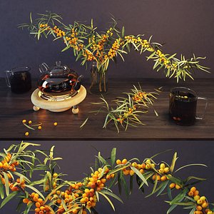 sea buckthorn