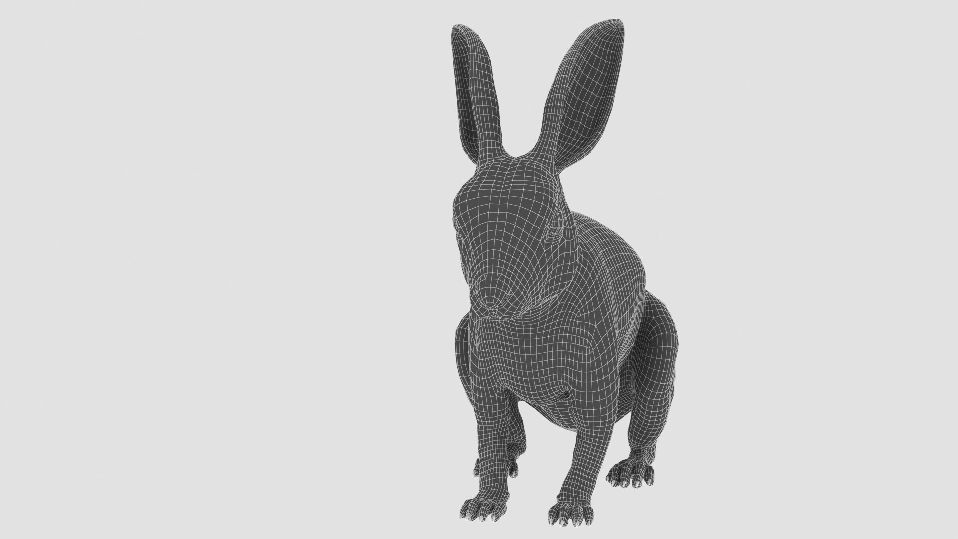 3D White Rabbit - TurboSquid 1796325