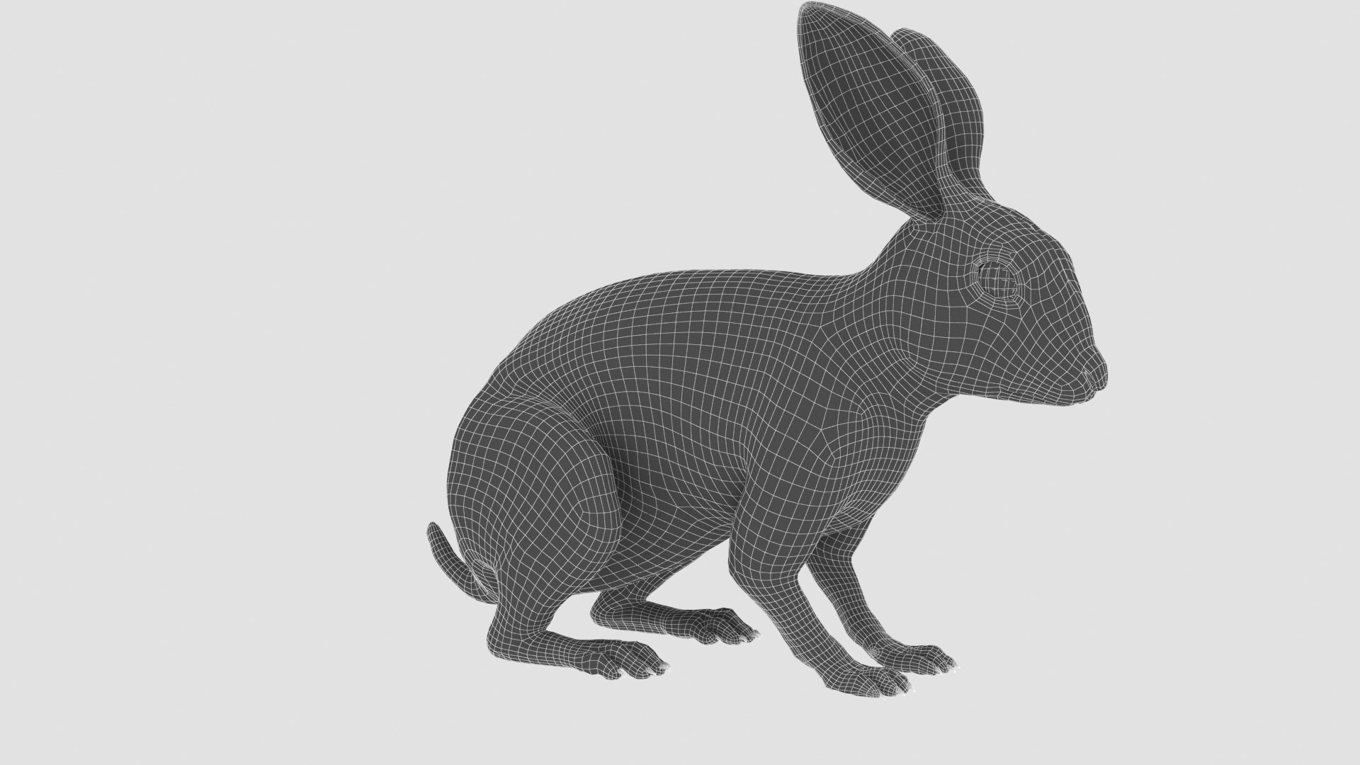 3D White Rabbit - TurboSquid 1796325