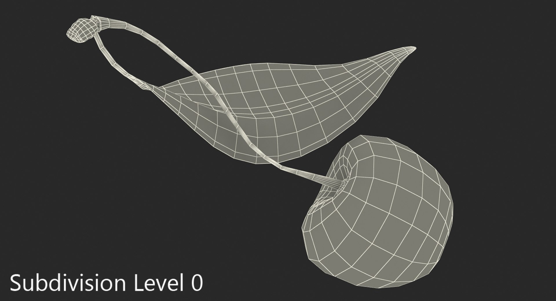 3D sour cherry leaf https://p.turbosquid.com/ts-thumb/4L/nMs3jO/AbgPmm7g/sourcherrywithleafvray3dmodel007/jpg/1504851496/1920x1080/fit_q87/40d8a93291cb8d9a278037dd008f81f93aef8708/sourcherrywithleafvray3dmodel007.jpg