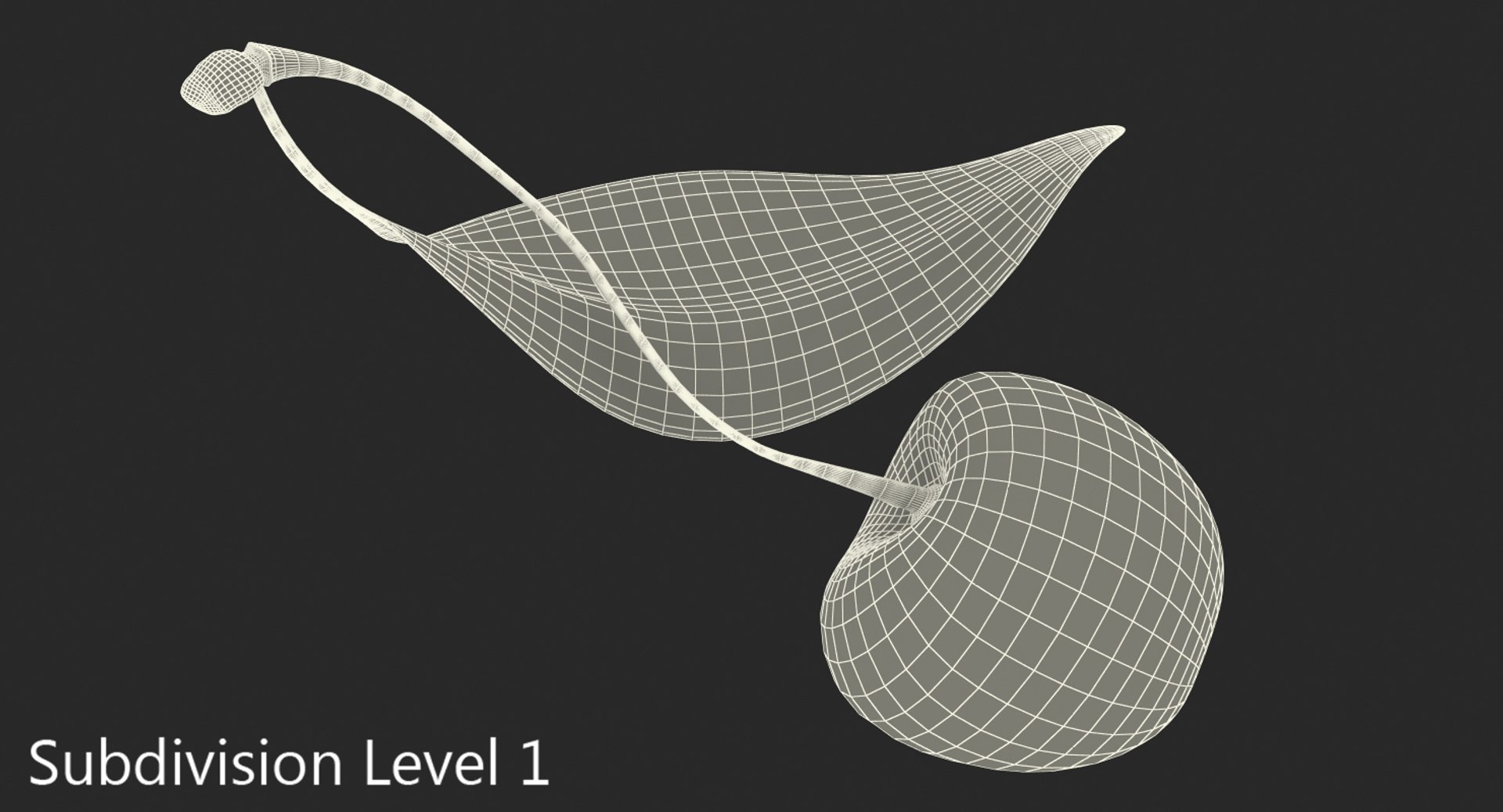 3D sour cherry leaf https://p.turbosquid.com/ts-thumb/4L/nMs3jO/GiZeFHAa/sourcherrywithleafvray3dmodel008/jpg/1504851496/1920x1080/fit_q87/d6ad0eee5585418eea9ff39cba99f0f233ef20e9/sourcherrywithleafvray3dmodel008.jpg