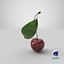 3D sour cherry leaf