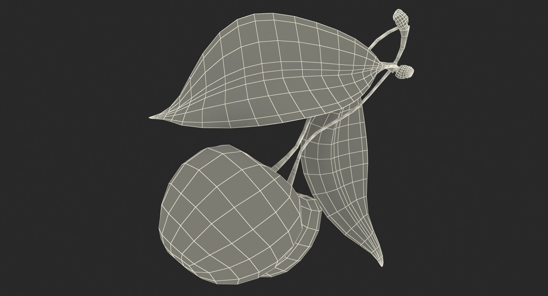 3D sour cherry leaf https://p.turbosquid.com/ts-thumb/4L/nMs3jO/S1hHkCft/sourcherrywithleafvray3dmodel016/jpg/1504851497/1920x1080/fit_q87/b93185fac3545620aeb6b649660e5b44576ac0eb/sourcherrywithleafvray3dmodel016.jpg