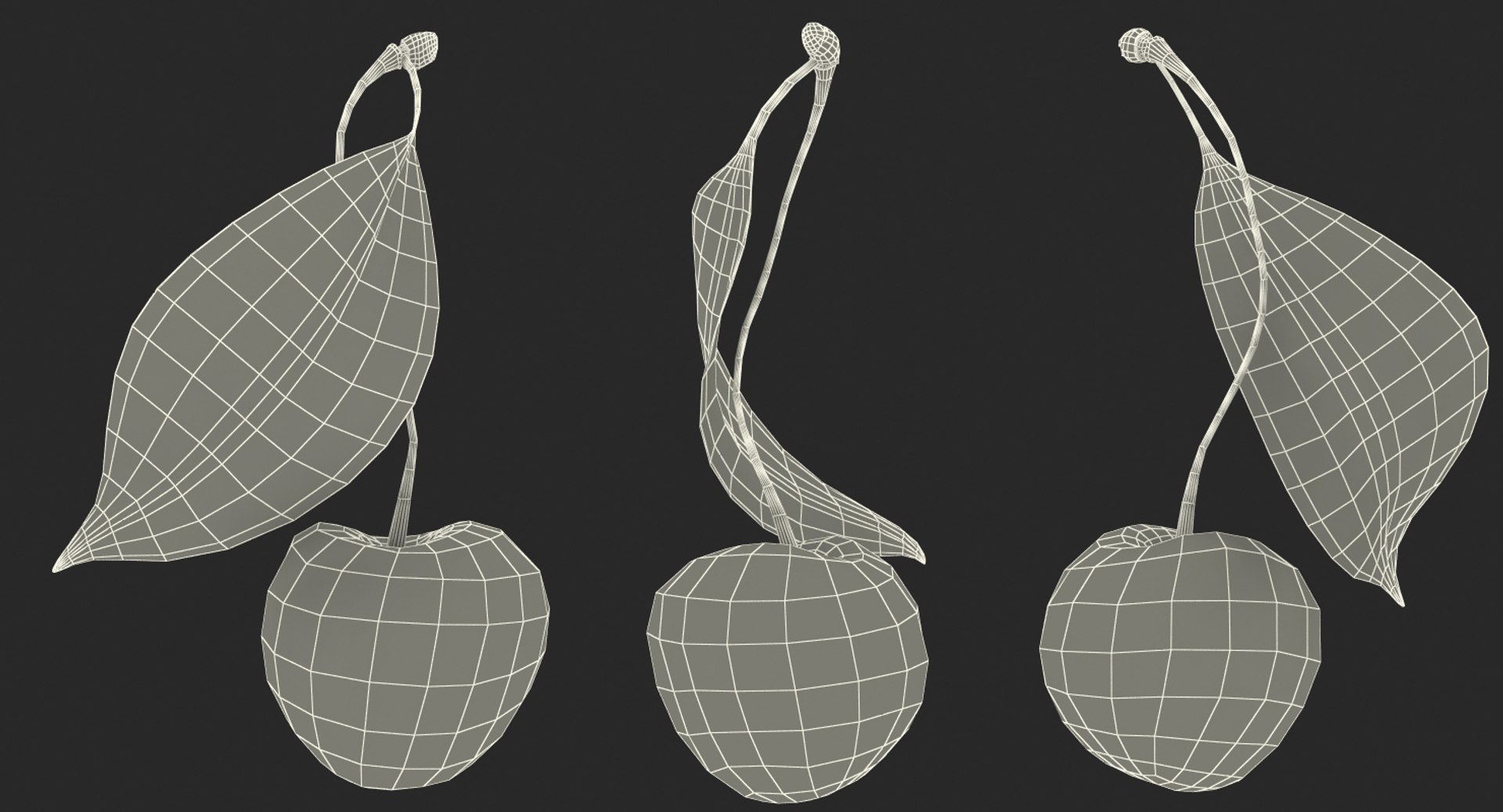 3D sour cherry leaf https://p.turbosquid.com/ts-thumb/4L/nMs3jO/VIj6oVuc/sourcherrywithleafvray3dmodel014/jpg/1504851497/1920x1080/fit_q87/ffeb8ffda568679b82e5ca82636c4cc7970fc68e/sourcherrywithleafvray3dmodel014.jpg
