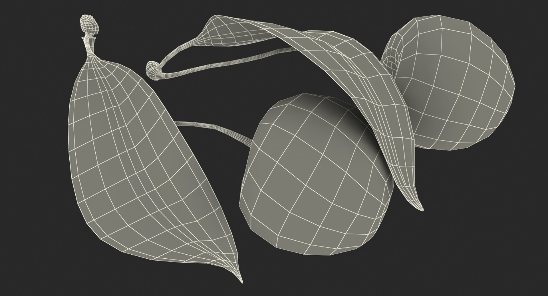 3D sour cherry leaf https://p.turbosquid.com/ts-thumb/4L/nMs3jO/f2MrONnn/sourcherrywithleafvray3dmodel015/jpg/1504851497/1920x1080/fit_q87/760c1573b84a0f3d253cac27776fff77b7f4edd8/sourcherrywithleafvray3dmodel015.jpg