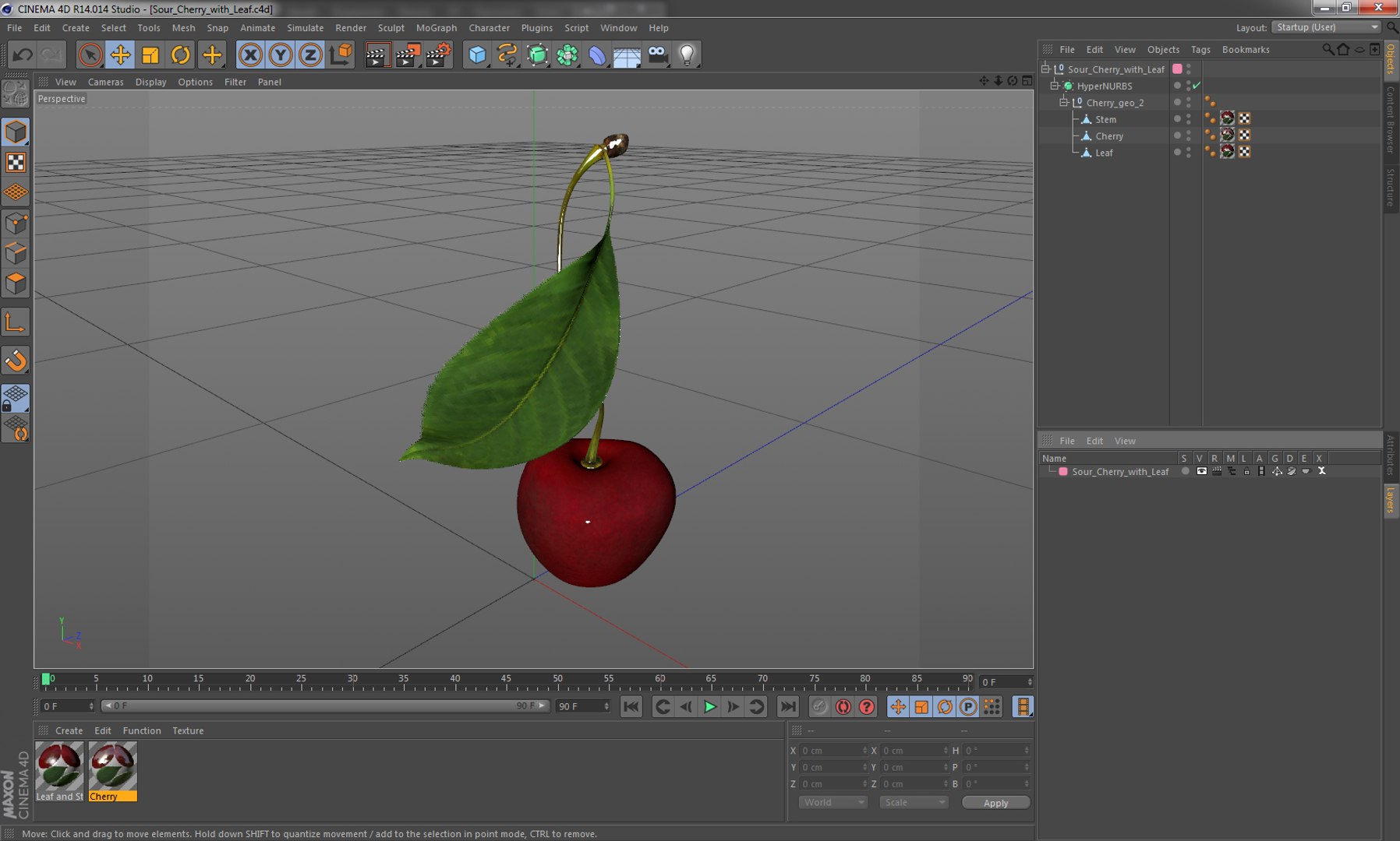 3D sour cherry leaf https://p.turbosquid.com/ts-thumb/4L/nMs3jO/kiiyMjvY/sourcherrywithleafvray3dmodel012/jpg/1504851496/1920x1080/fit_q87/0857a56be1ed6b94faba06ead36bace9e6fd6779/sourcherrywithleafvray3dmodel012.jpg