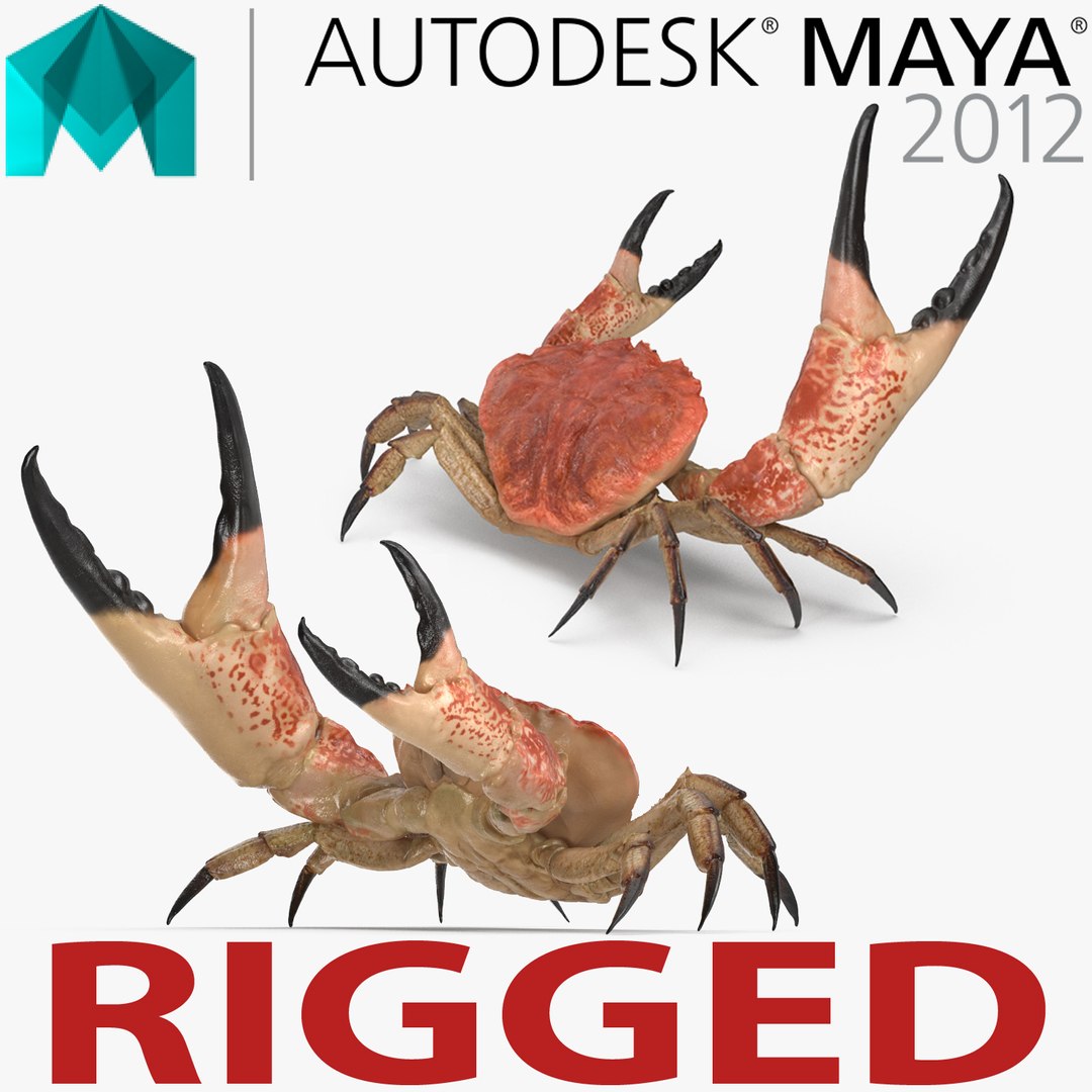 Tasmanian Giant Crab Rigged for Maya 3D model preview