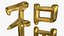 Chinese character FU - Which means good luck and blessing