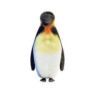 Low Poly Penguin - Rigged
