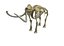 Esqueleto de mamut