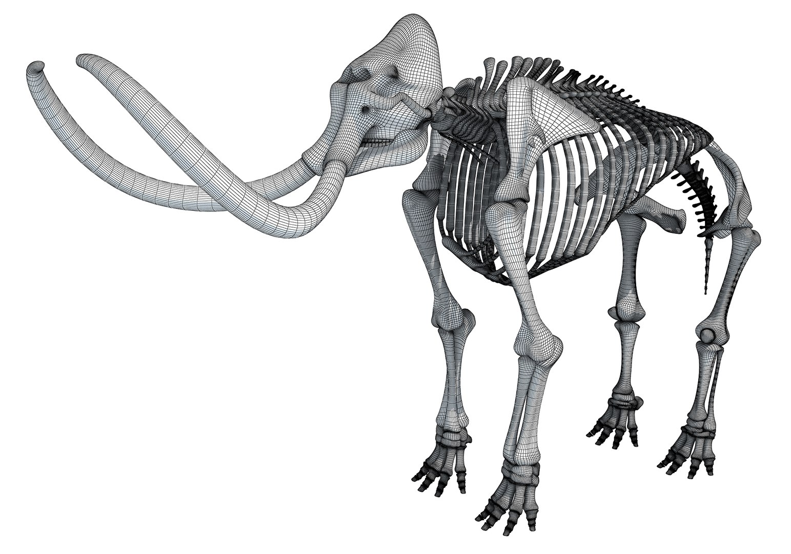 mammoth skeleton model https://p.turbosquid.com/ts-thumb/4M/DcnbEG/LFRg6FZv/3danimals0000/jpg/1513210290/1920x1080/fit_q87/97360d76f8c135a4beac9e3997e6dcfe85c04db3/3danimals0000.jpg