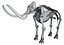 mammoth skeleton model