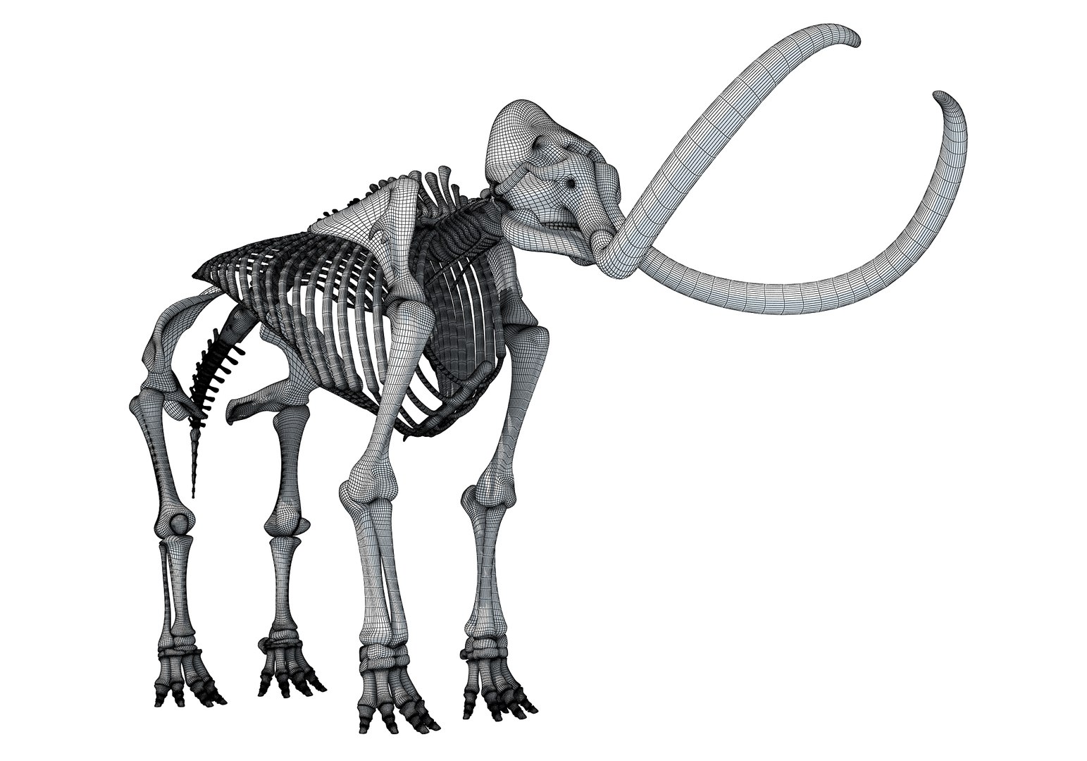 mammoth skeleton model https://p.turbosquid.com/ts-thumb/4M/DcnbEG/ZdqJcJa6/3danimals0007/jpg/1513210290/1920x1080/fit_q87/7b81816e60618da1f174a9e75ce90b879a0381e1/3danimals0007.jpg