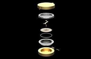 3D compass gold