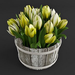 tulips plant 3d model
