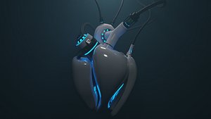 Robo Heart high poly 3D model