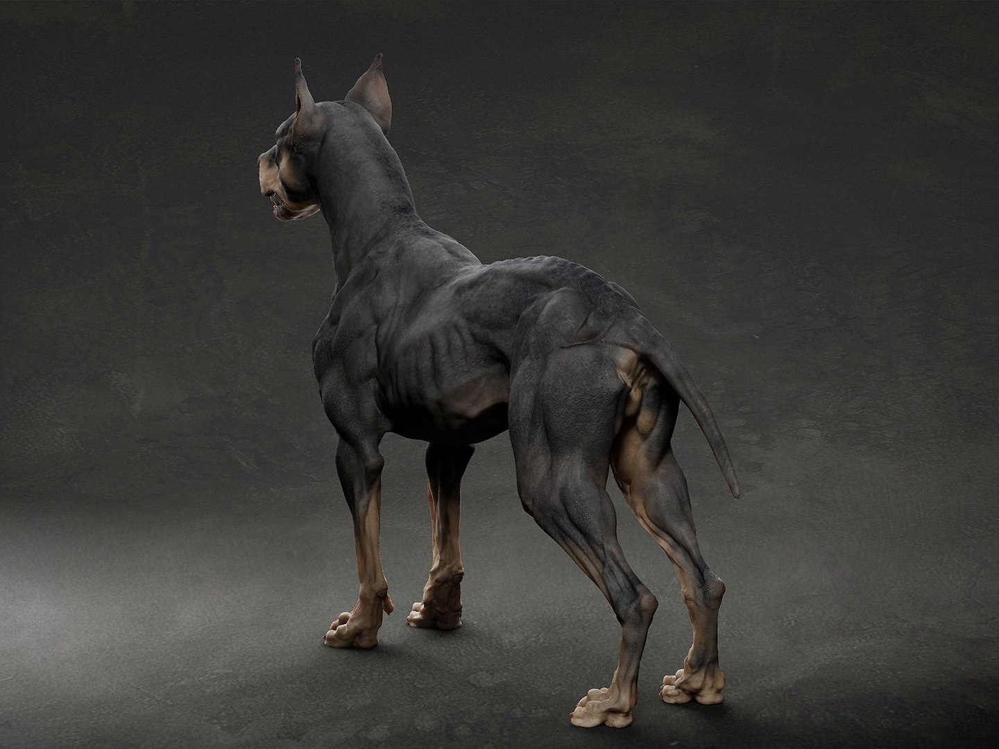 dog animal 3D https://p.turbosquid.com/ts-thumb/4M/bIOKx9/4X/m3/jpg/1633282299/1920x1080/fit_q87/7cf05b96083ef44912e653331850e8e66a18aa32/m3.jpg