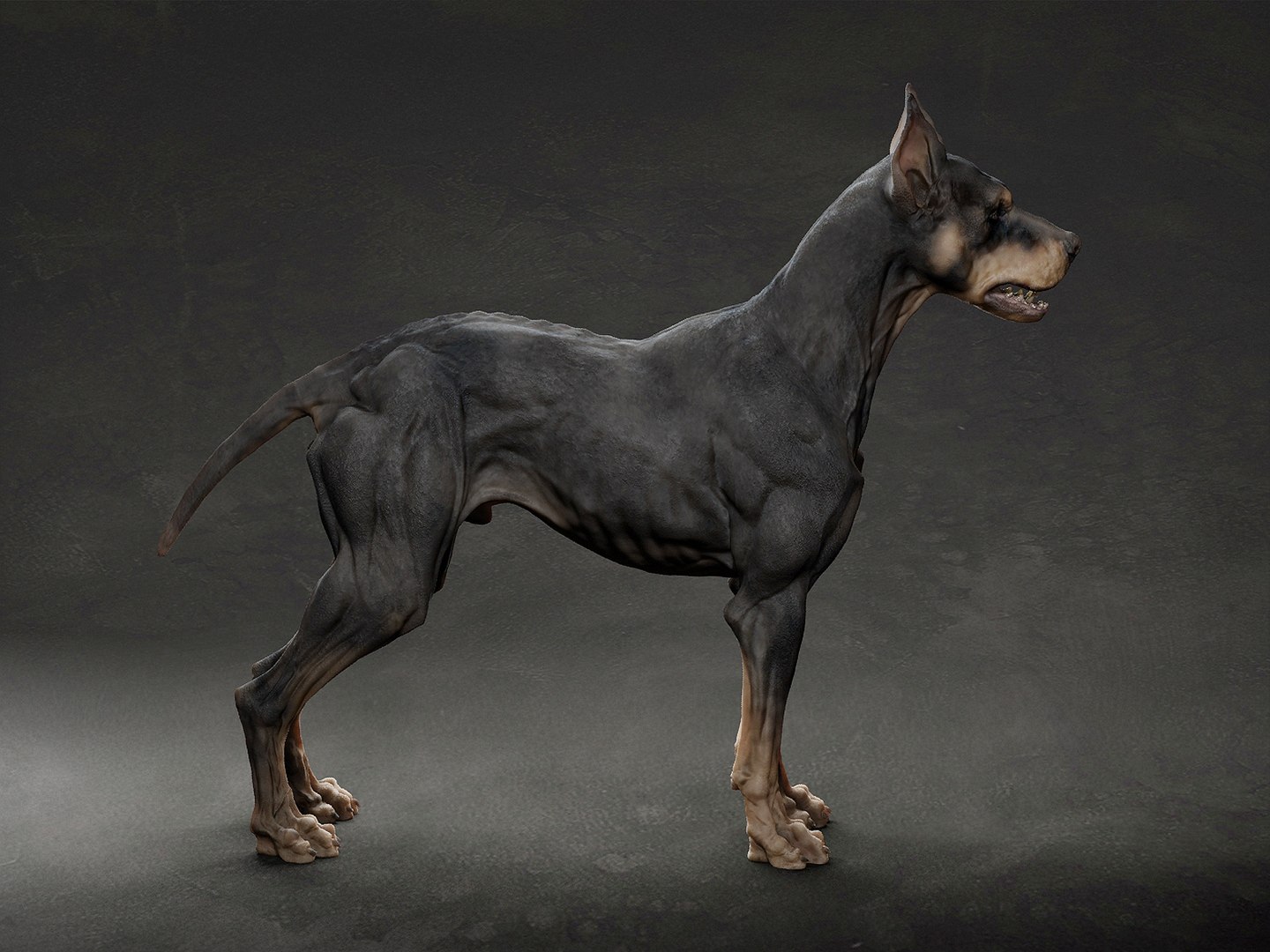 dog animal 3D https://p.turbosquid.com/ts-thumb/4M/bIOKx9/Pj/m1/jpg/1633282301/1920x1080/fit_q87/3de5fc72b6f571f85a8c544d20ddf73f2fba9549/m1.jpg