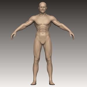 3D model T POSE  base body man cuerpo base hombre