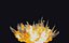 Houdini Explosion Megapack