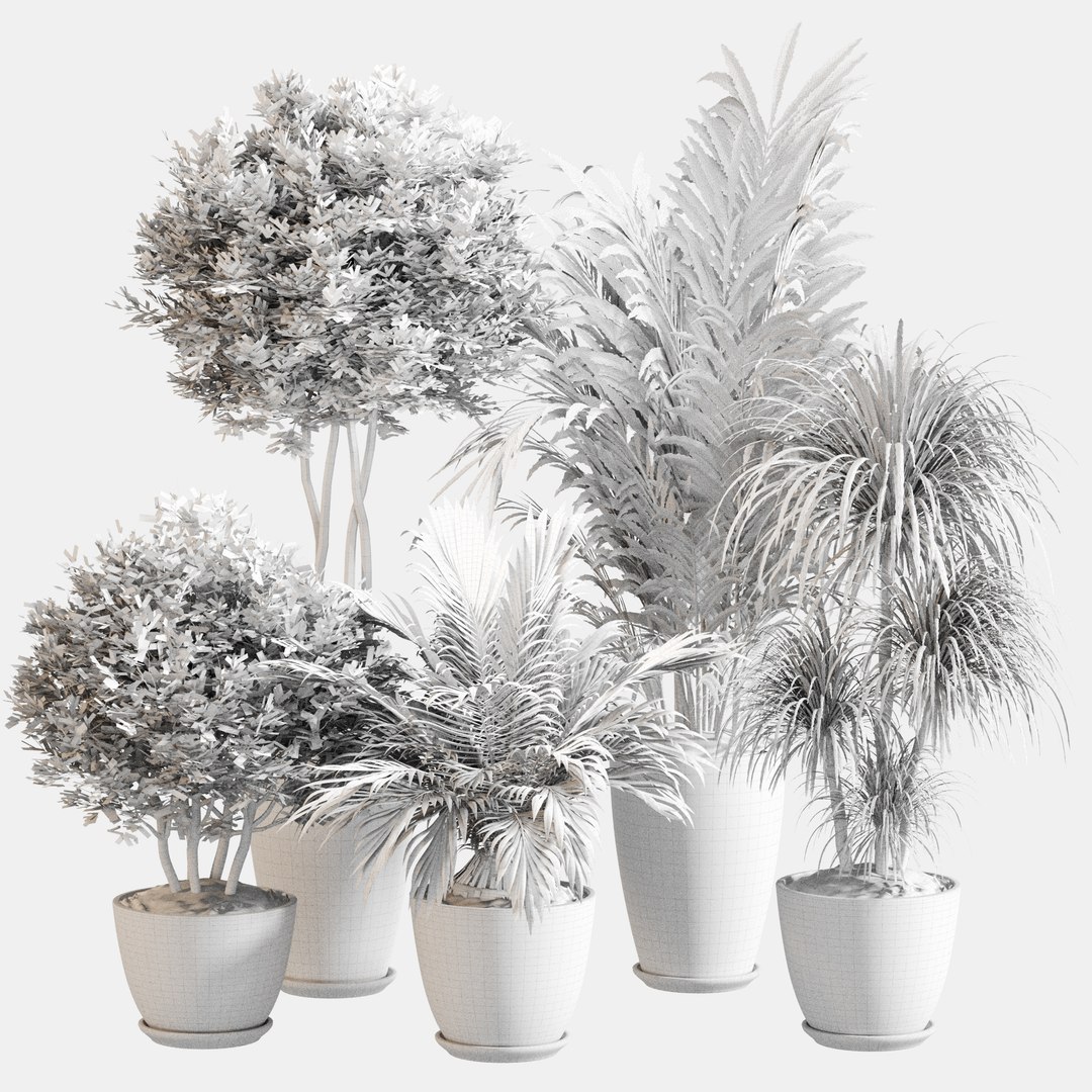 3D model Indoor Plant Set 0144 https://p.turbosquid.com/ts-thumb/4M/g2iodp/WU/5/jpg/1730197494/1920x1080/fit_q87/6150c9106d87070142562f59c781d6a7b0c95802/5.jpg
