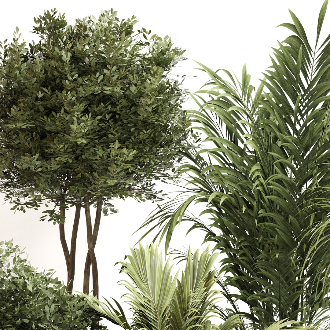3D model Indoor Plant Set 0144 https://p.turbosquid.com/ts-thumb/4M/g2iodp/uC/4/jpg/1730197491/1920x1080/fit_q87/eb6de54e808d09224782a55d001e86b52bf68a19/4.jpg