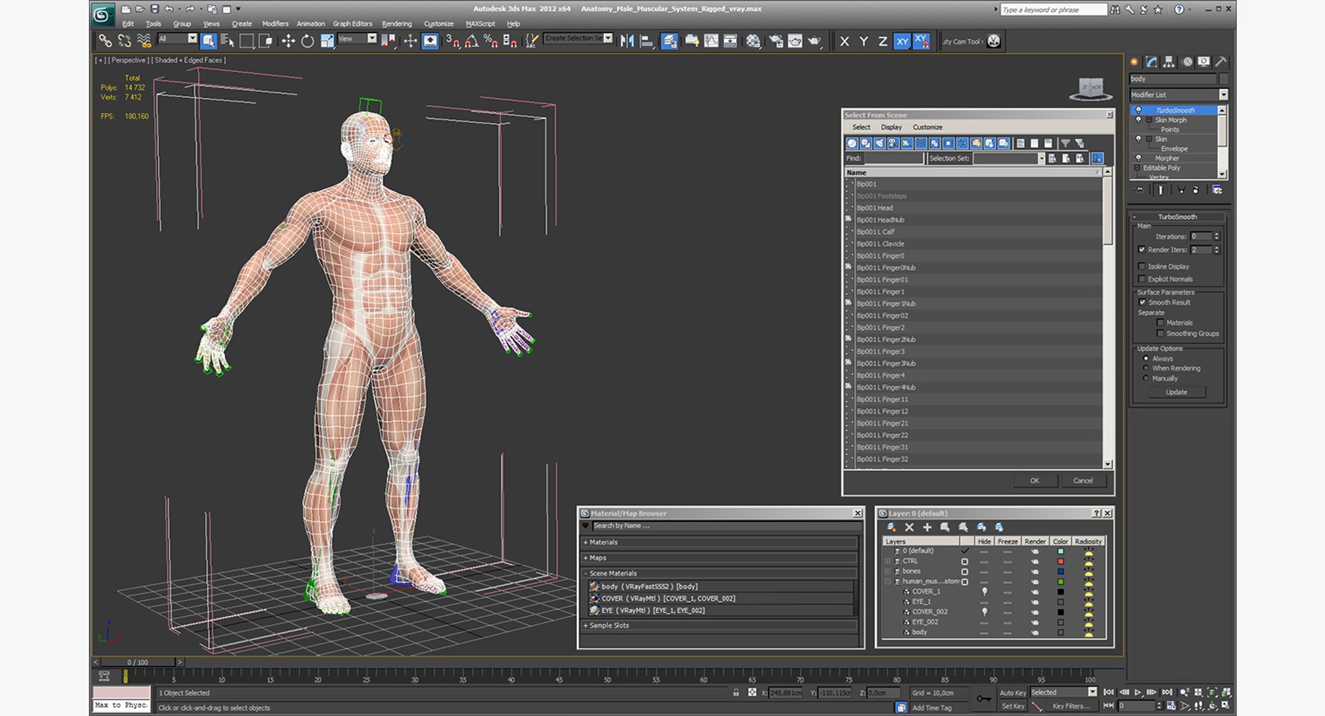 anatomy male muscular rigged model https://p.turbosquid.com/ts-thumb/4M/i52O2d/MYJVhIen/anatomymalemuscularsystemriggedmb3dmodel027/jpg/1514037649/1920x1080/fit_q87/dd6bac44f18848ef3ea2dc5626b6324be8e4a6fb/anatomymalemuscularsystemriggedmb3dmodel027.jpg