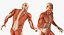 Anatomía del sistema muscular masculino masculino para cine 4D