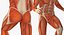 Anatomía del sistema muscular masculino masculino para cine 4D