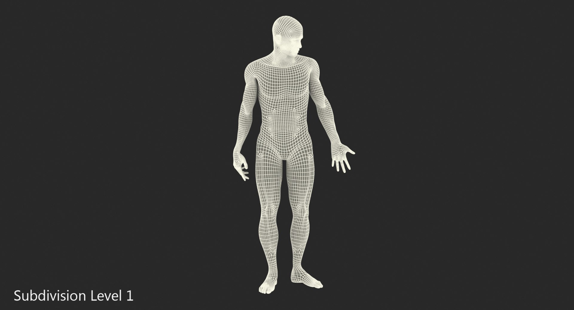 anatomy male muscular rigged model https://p.turbosquid.com/ts-thumb/4M/i52O2d/e7iXfP3S/anatomymalemuscularsystemriggedmb3dmodel024/jpg/1514037649/1920x1080/fit_q87/659ac6dcbb11a54a7f38d6af0ce2f902ffff42d5/anatomymalemuscularsystemriggedmb3dmodel024.jpg