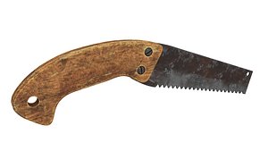 3D Old saw