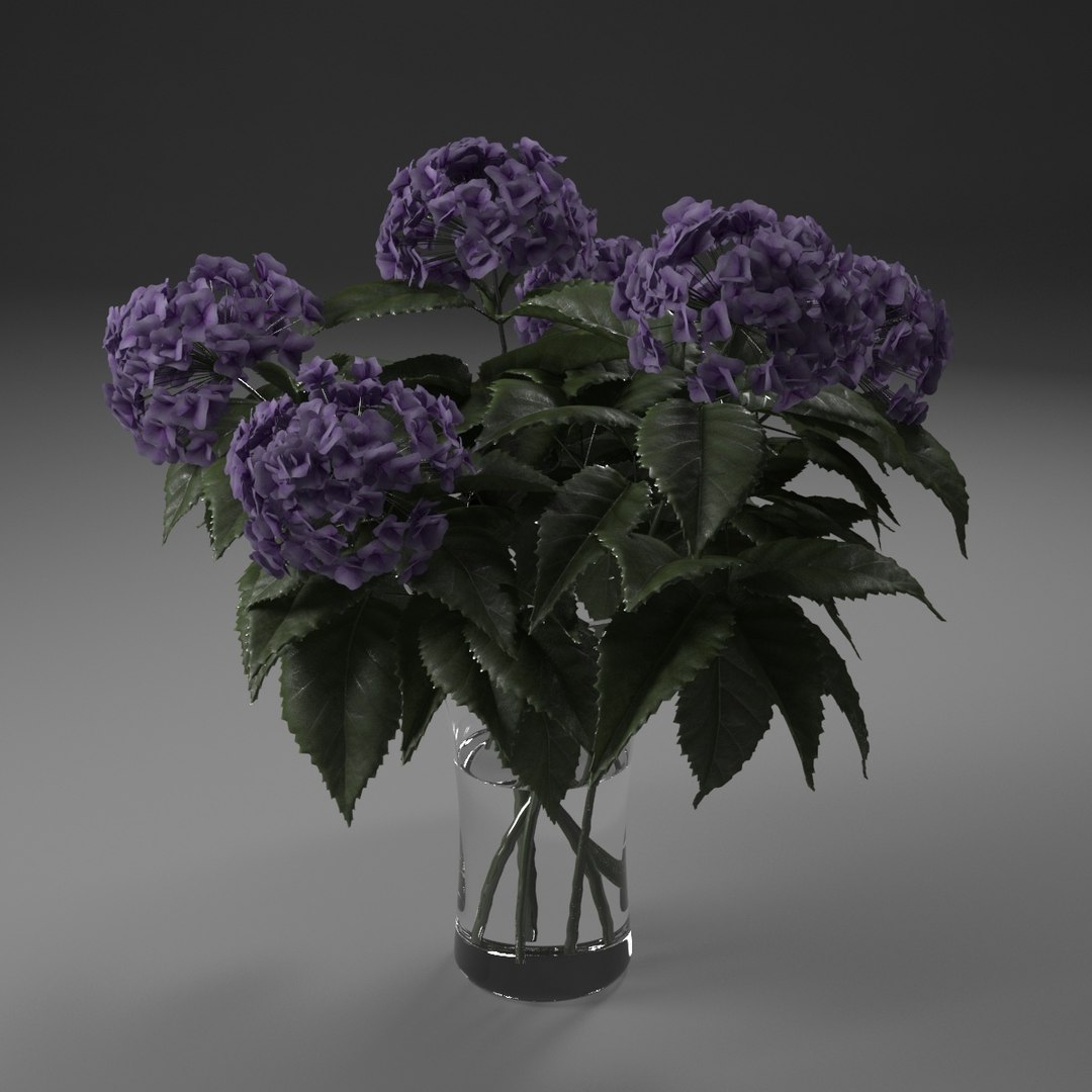 3d model hydrangea bouquet vase https://p.turbosquid.com/ts-thumb/4M/leF67v/cuacAKsI/sig4/jpg/1356034161/1920x1080/fit_q87/c12b43cbf767fc2ca15ad4381d32630b623511aa/sig4.jpg