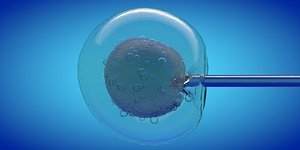 3D ivf cell