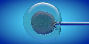 IVF cell simulation