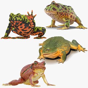 3D frogs rigged 3 model