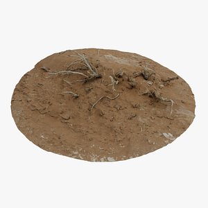 3D Dry Bush 02 - Scan