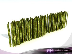 D2.C1.09 Bamboo-Bambú