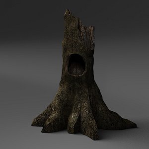 Hollow Fallen Tree Stump