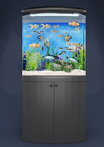 box aquarium 3D model